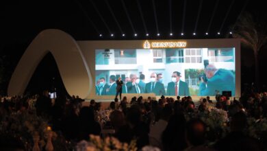 ماونتن فيو