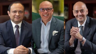 ماونتن فيو