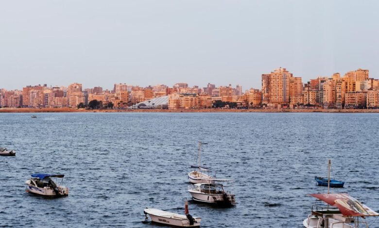 سنوهيتا