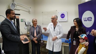 المصرية للاتصالات WE