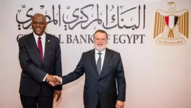 محافظ البنك المركزي المصري