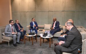 وزير الاستثمار والتجارة الخارجية 