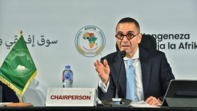 وزير الاستثمار