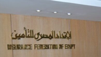 التأمين الشامل