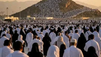 شركات السياحة