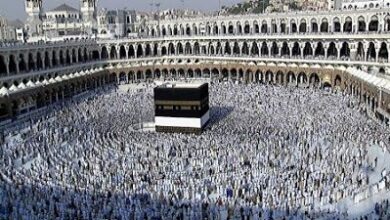السياحة