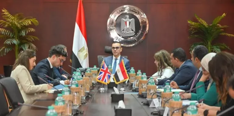وزير الاستثمار