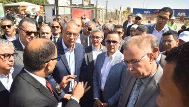 وزير الاستثمار والتجارة الخارجية