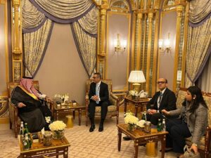 وزير الاستثمار