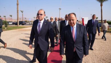 هيئة الرقابة المالية