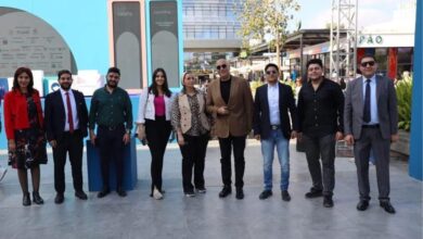 تنمية المشروعات