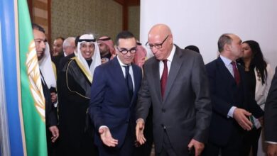 وزير الاستثمار