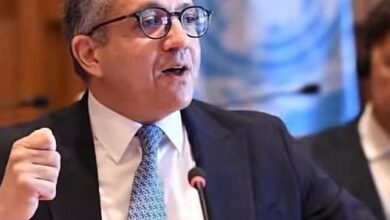 خالد العناني