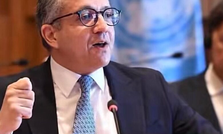 خالد العناني