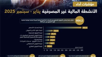 الرقابة المالية
