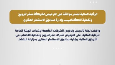 هيئة الرقابة المالية