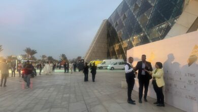 عيسى زيدان