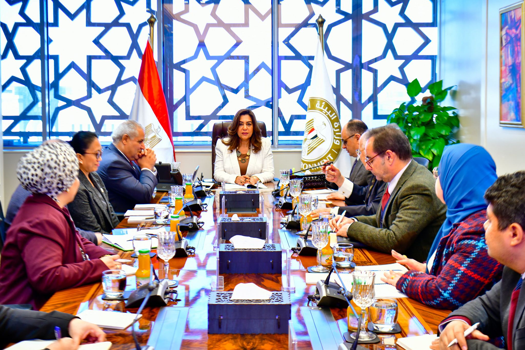 وزيرة التنمية