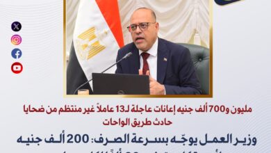 وزير العمل