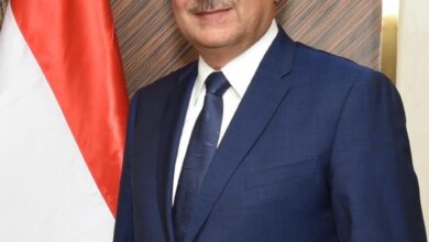 وزارة قطاع الأعمال