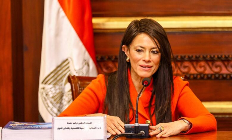 وزيرة التخطيط