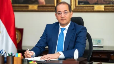 وزير المالية