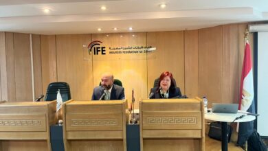 اتحاد شركات التأمين المصرية