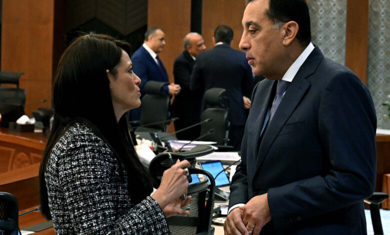 وزيرة التخطيط