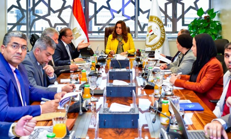 وزيرة التنمية