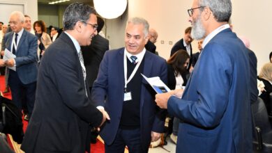 المتحف المصري