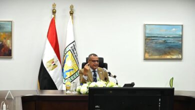 جنوب سيناء