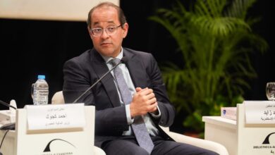 وزير المالية