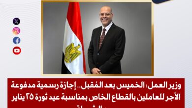 وزير العمل