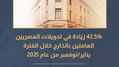 Egyptian Remittances