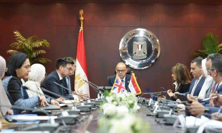 وزير الاستثمار