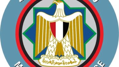 المالية