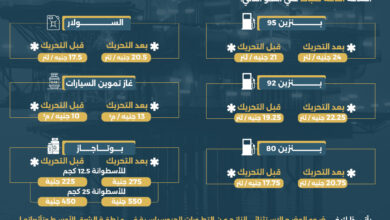 الحكومة