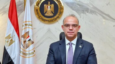 وزير الاستثمار
