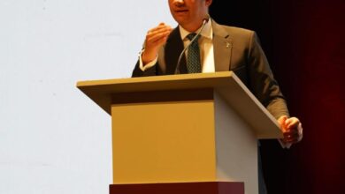 وادي دجلة