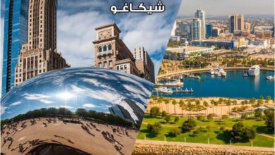 مصر للطيران