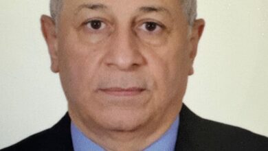عمرو محمود