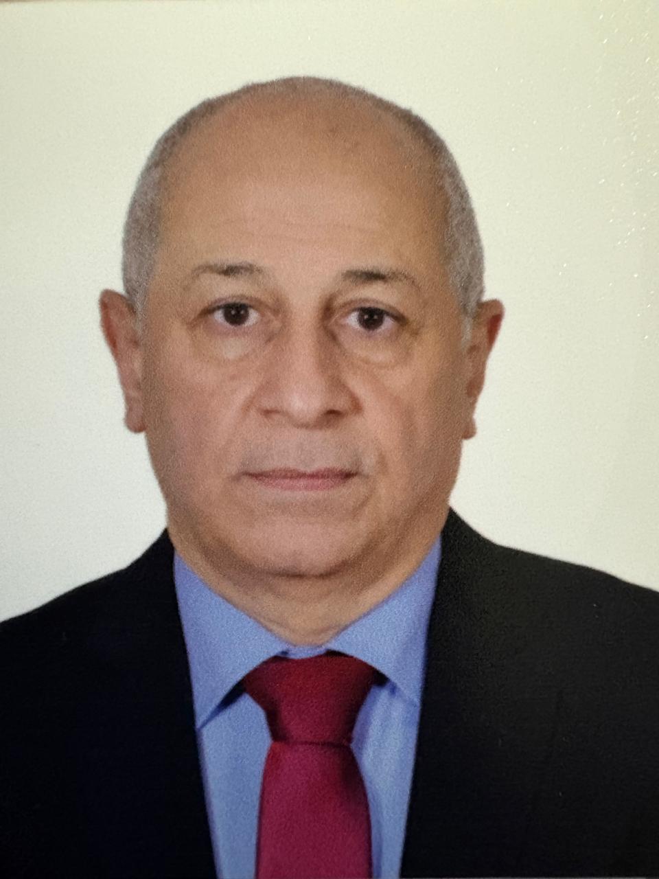 عمرو محمود