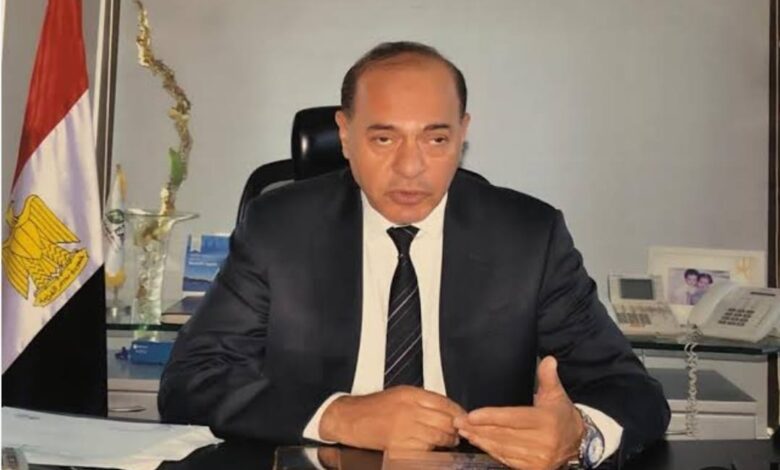 الشراكة المصرية