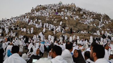 وزارة السياحة