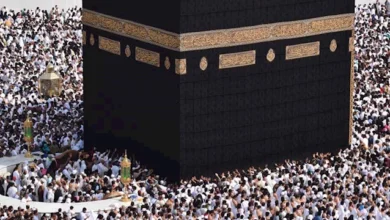 وزارة السياحة