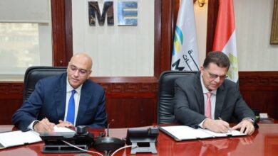 تنمية المشروعات