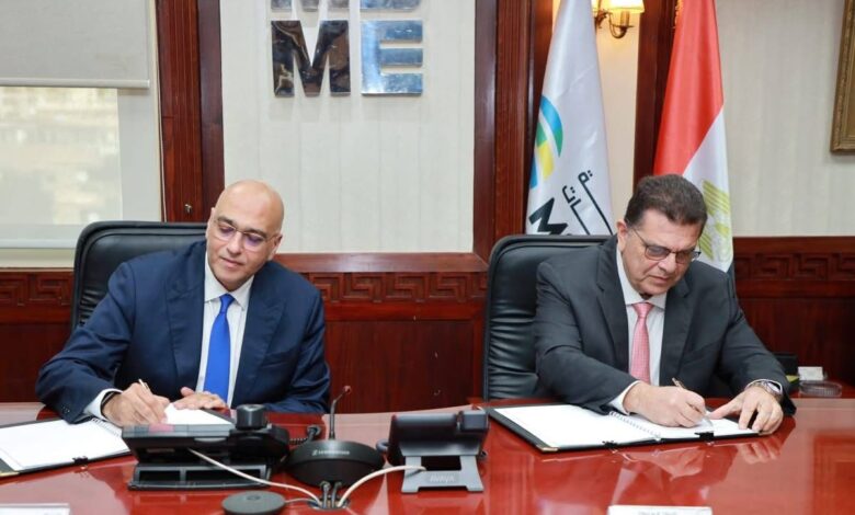 تنمية المشروعات