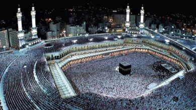 وزارة السياحة
