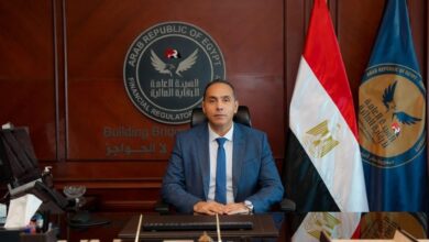 الرقابة المالية