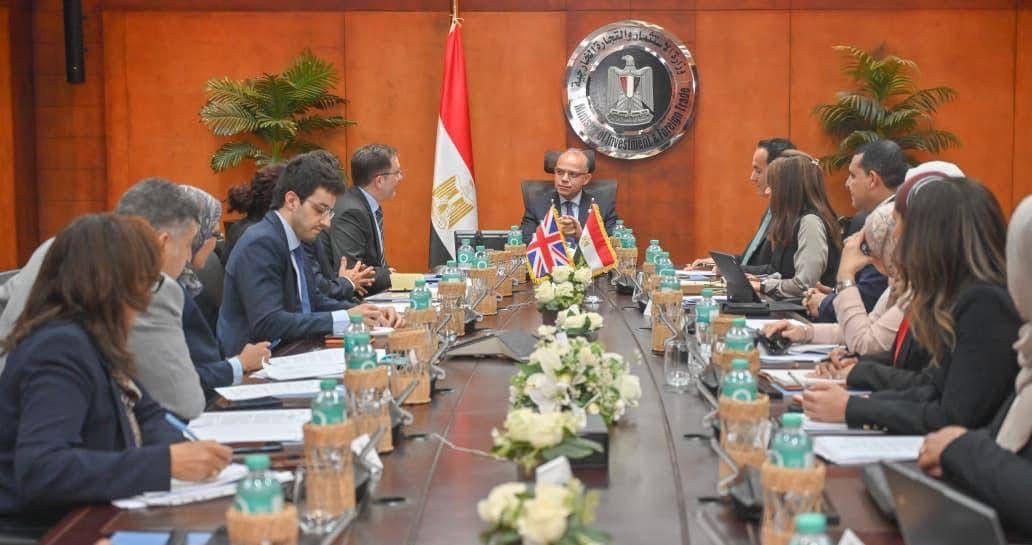 وزير الاستثمار